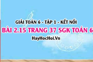 Giải bài 2.15 trang 37 Toán 6 Tập 1 SGK Kết nối tri thức